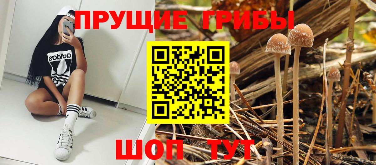 Псилоцибиновые грибы MAGIC MUSHROOMS  Вход с VPN  как найти закладки  Зеленодольск 