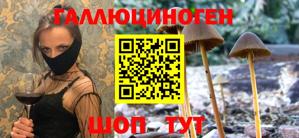 Псилоцибиновые грибы Cubensis Зеленодольск